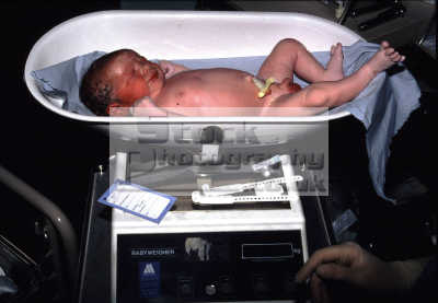 Newborn Baby Pictures on Newborn Baby Umbilical Cord Weighed Scales Birth Born Procreate